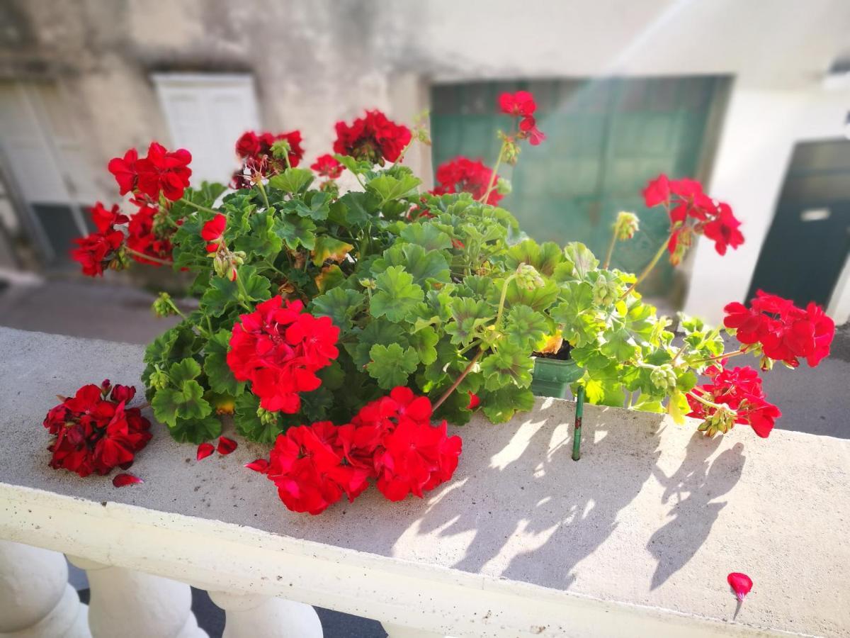 Apartment Dada Šibenik Esterno foto